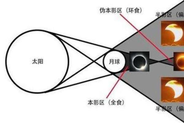 天文奇观：日环食带来的神秘与启示