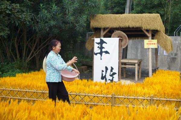 五月二日，探秘传统节日背后的农耕文化