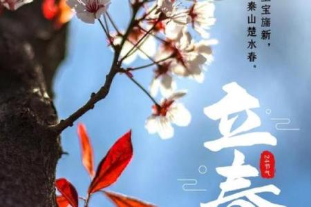 广元立春：农耕与天文的交汇，开启春季新篇章