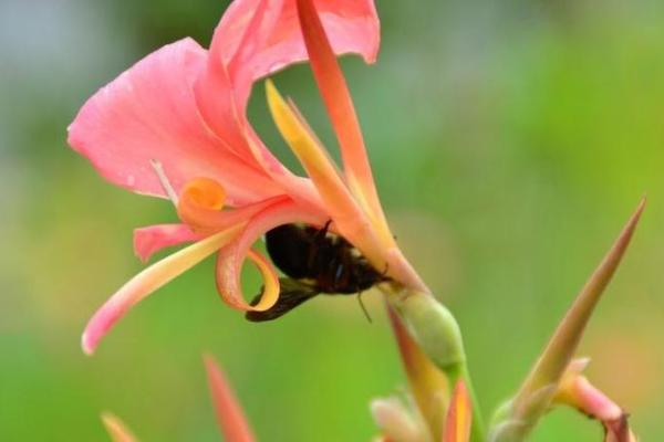 如何改变命运密码,让桃花运迅速来临 如何改变命运密码,让桃花运迅速来临