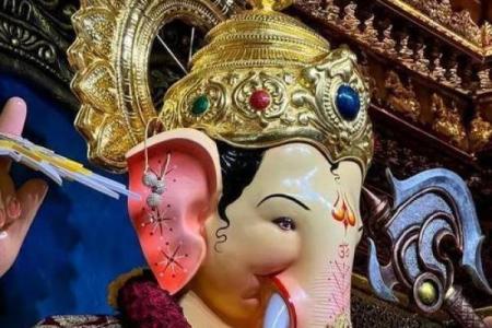 印度节日象的文化传承与社会影响