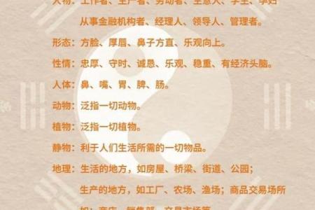 五行格局性格解析误区大揭秘：12月如何走出误区，运势逆袭