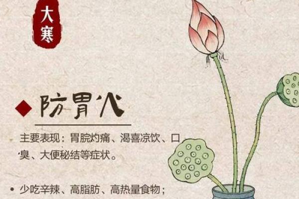 养生小贴士，如何在大寒节气养护身体