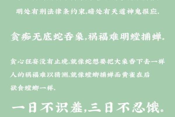 盲派命理高级象法：误入歧途？这些命运密码的常见误解