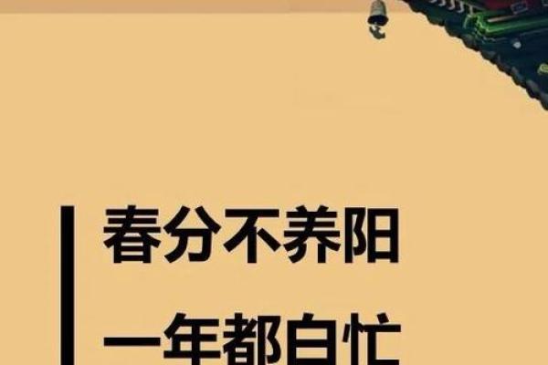 是什么节日?探索传统文化中的春分与养生智慧 是什么节日?探索传统文化中的春分与养生智慧