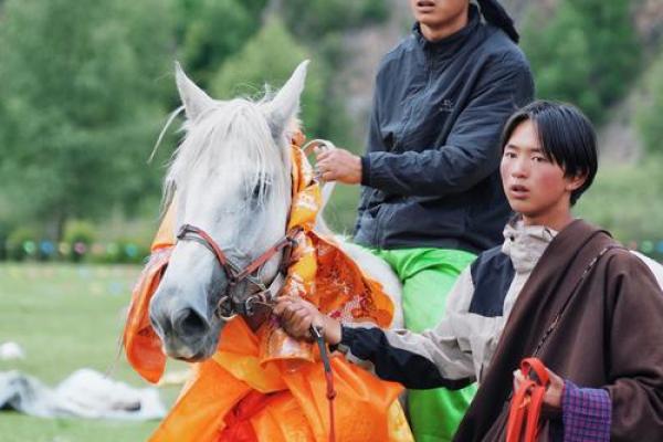 僳僳族马文化节:马背上的风情与荣耀 僳僳族马文化节:马背上的风情与荣耀