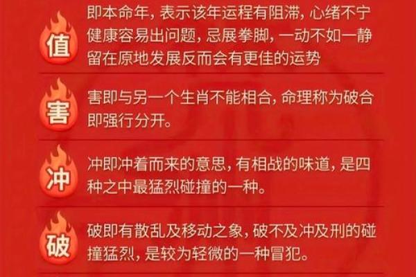 郑是五行格局揭秘：你的性格解析，如何提升运势？
