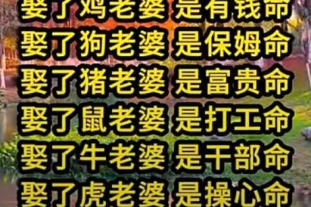 颠覆你的认知：八字中的贵子命原来是这样