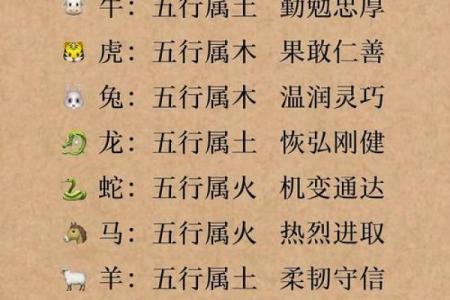 性格解析：五行格局教你如何找到最佳人生方向