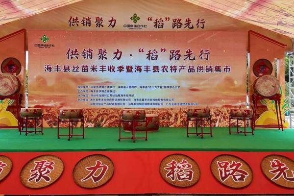 探索泰国丰收节：农业文化与节日庆典的完美融合