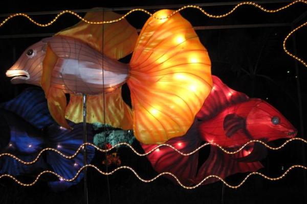 深入泰国水灯节:一场融合天文与农耕智慧的盛典 深入泰国水灯节:一场融合天文与农耕智慧的盛典