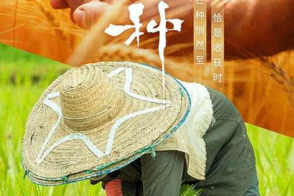 壮族重要节日背后的农耕生活与节令 壮族重要节日背后的农耕生活与节令