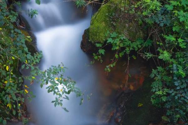 溪水潺潺，五行格局揭秘：你的性格解析如何影响人生？