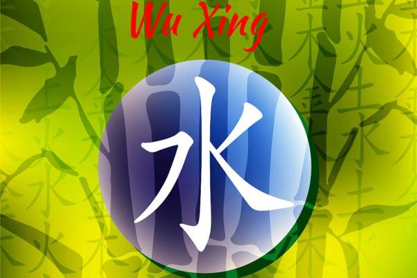 妮五行格局反常规解析:别再被错误理解的性格所困 妮五行格局反常规解析:别再被错误理解的性格所困