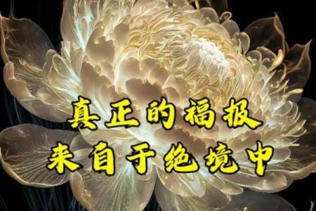 神秘五行格局：你的车性格如何，如何一眼看穿？实用指南