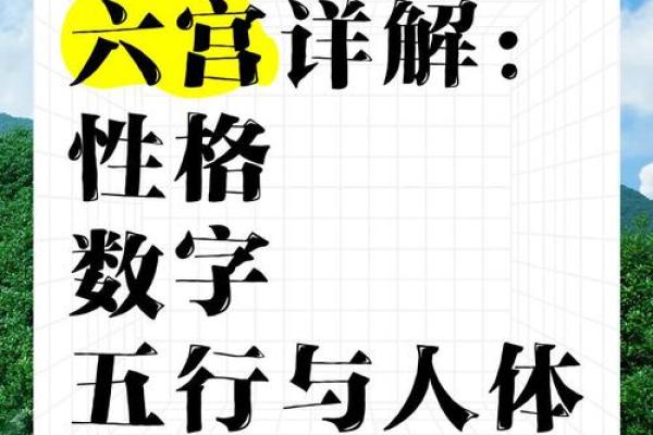 铨字五行密码解密:性格解析与改变格局的神秘之道 铨字五行密码解密:性格解析与改变格局的神秘之道