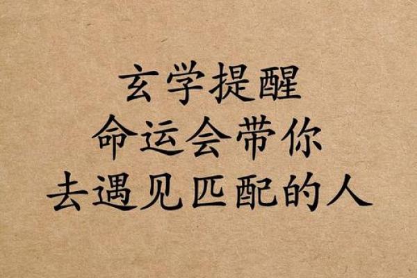 解读八字中的命运密码,你的成功早已注定 解读八字中的命运密码,你的成功早已注定