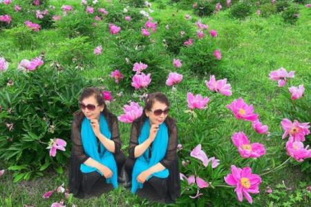 毛南族养生节日：传统智慧与健康相伴