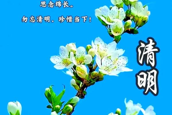 四月五号清明节:一年一度的自然与人文交汇 四月五号清明节:一年一度的自然与人文交汇