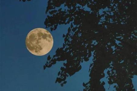 天文爱好者必知的超级月亮现象