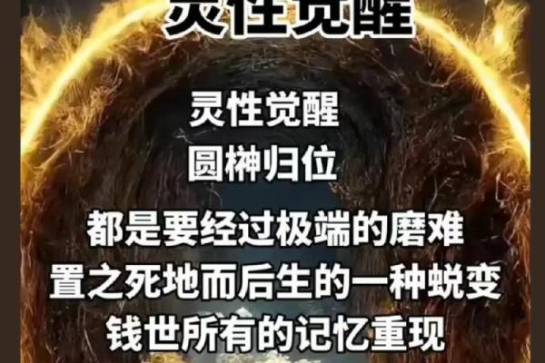 揭开八字命理的神秘面纱，如何利用命运密码逆转未来