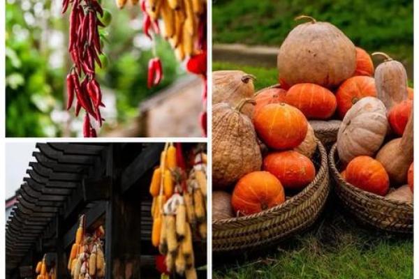 所有节日国的农耕文化探秘：从丰收节到祭祀仪式