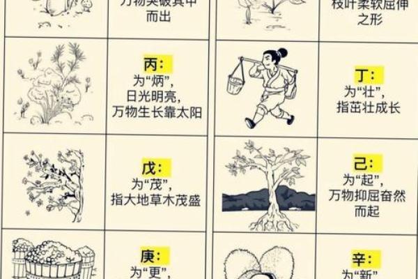 五行格局揭秘：揭秘幂字的五行属性，性格解析让你认识更真实的自己