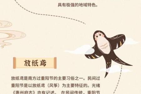 文化习俗大揭秘：传统节日背后的历史与意义