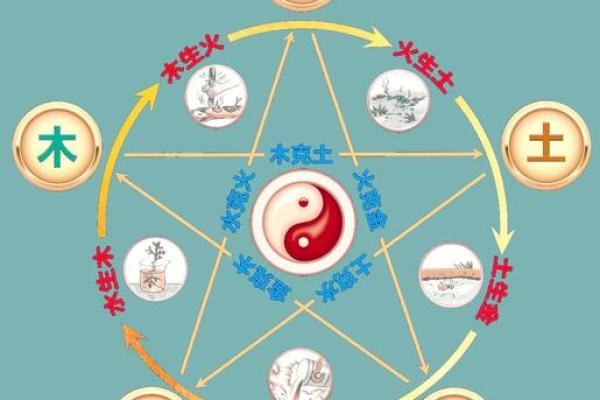 瑶命探秘:五行格局如何影响性格,实用改变指南 瑶命探秘:五行格局如何影响性格,实用改变指南