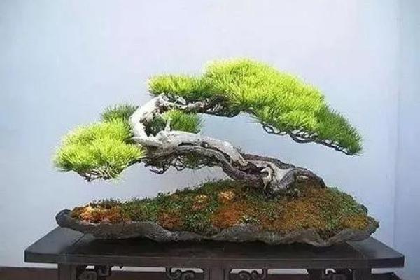 五行反而带来好运:打破常规,看看如何利用五行格局改变命运 五行反而带来好运:打破常规,看看如何利用五行格局改变命运