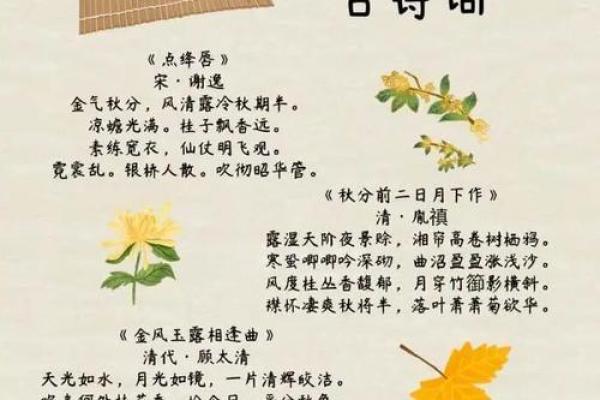 十月农耕节令：秋收时节的传统与养生智慧