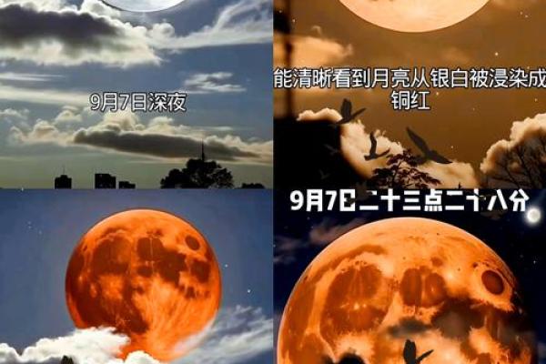 中秋节:月亮背后的天文奥秘与团圆文化 中秋节:月亮背后的天文奥秘与团圆文化