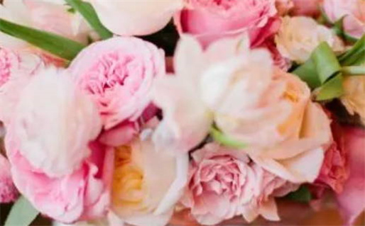 2026年10月31日搬家黄历查询