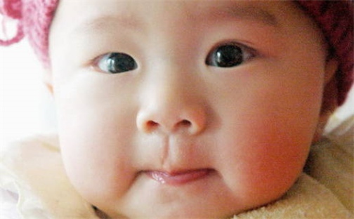 邵姓男孩子取名