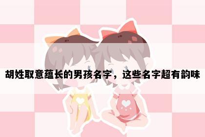 胡姓取意蕴长的男孩名字，这些名字超有韵味