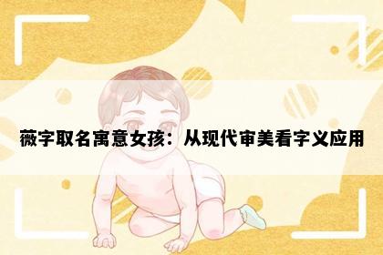 薇字取名寓意女孩：从现代审美看字义应用