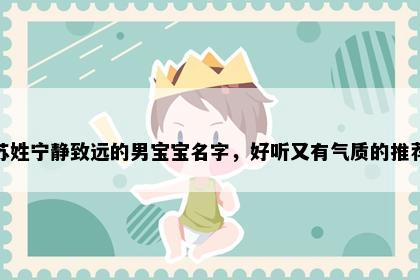 苏姓宁静致远的男宝宝名字，好听又有气质的推荐