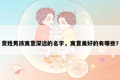 贲姓男孩寓意深远的名字，寓意美好的有哪些？