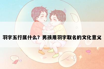 羽字五行属什么？男孩用羽字取名的文化意义