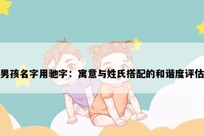 男孩名字用驰字:寓意与姓氏搭配的和谐度评估