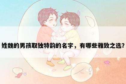 姓魏的男孩取独特韵的名字，有哪些雅致之选？