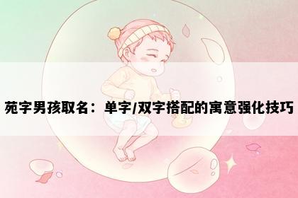 苑字男孩取名：单字/双字搭配的寓意强化技巧