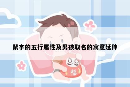 紫字的五行属性及男孩取名的寓意延伸