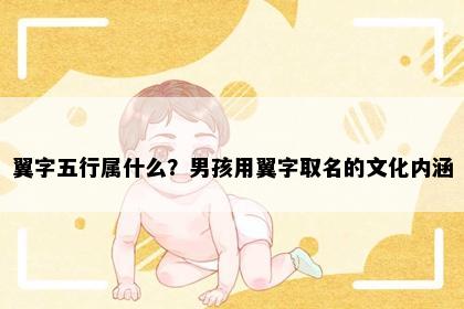 翼字五行属什么?男孩用翼字取名的文化内涵