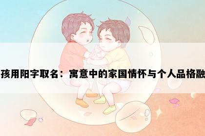 男孩用阳字取名：寓意中的家国情怀与个人品格融合