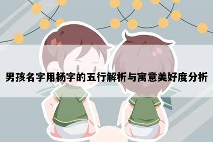 男孩名字用杨字的五行解析与寓意美好度分析