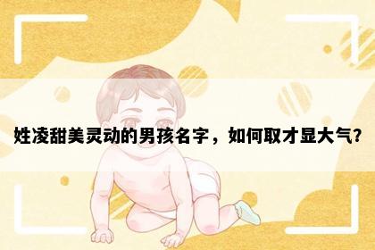 姓凌甜美灵动的男孩名字，如何取才显大气？