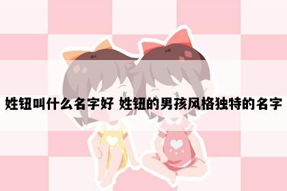 姓钮叫什么名字好 姓钮的男孩风格独特的名字