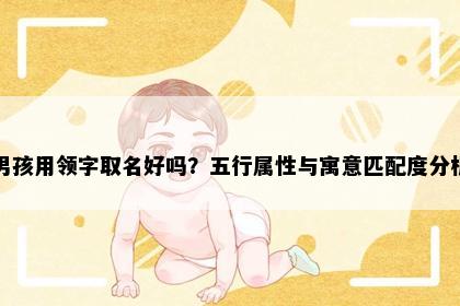 男孩用领字取名好吗？五行属性与寓意匹配度分析