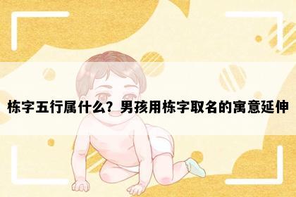 栋字五行属什么？男孩用栋字取名的寓意延伸